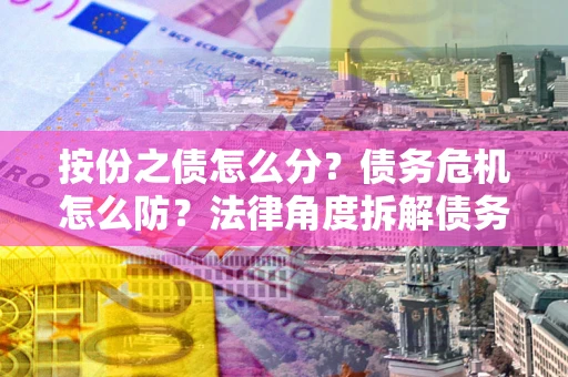 武汉按份之债怎么分？债务危机怎么防？法律角度拆解债务分配与风险自保指南
