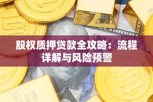 武汉股权质押贷款全攻略：流程详解与风险预警