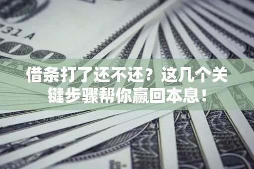 武汉借条打了还不还？这几个关键步骤帮你赢回本息！