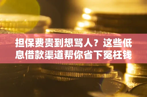 武汉担保费贵到想骂人？这些低息借款渠道帮你省下冤枉钱