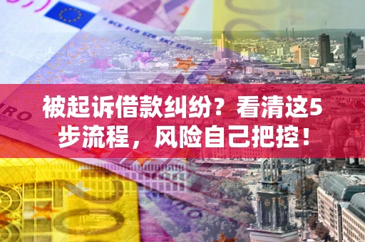 武汉被起诉借款纠纷？看清这5步流程，风险自己把控！