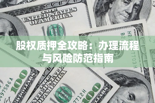 武汉股权质押全攻略：办理流程与风险防范指南