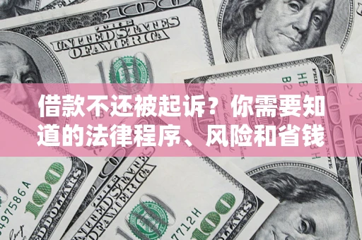 武汉借款不还被起诉？你需要知道的法律程序、风险和省钱技巧